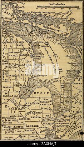 Ensign, il lago di Bridgman & Fanning e la guida fluviale; . ), il Michigan Central, la Detroit e Toledo, e le ferrovie Pontiac. Pop., 1840, 9,102; 1850,21.019; 1853, 34,568. Detroit River, forma il confine tra gli UnitedStates e il Canada, e si estende dal Lago di St. Clair, 26miles, al Lago Erie. Di fronte a Detroit, si trova a tre quarti di miglio di larghezza, ed è navigabile per le navi più grandi. Nearits bocca sono diverse isole, le più grandi delle quali sono Grosseand Fighting isole. Di ritorno dal fiume, la terra scende in terreni bassi, e gli insediamenti sono solo una fattoria profonda sulle rive del t. Foto Stock