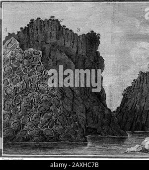 Alcuni Particolari dell'attuale stato del Vesuvio; Con il conto di un viaggio nella provincia d'Abruzzo, e un viaggio nell'isola di PonzaIn una lettera di Sir William Hamilton, KBFRSand ASTO Sir Joseph Banks, BartPRS. . 7Y^^^&gt;^.rr.^^.VolXiXXVI.Tab.5I 3^0; S^Sa^^e so. RO/nxXj Thilos. Tra?i^^6kX^ Foto Stock