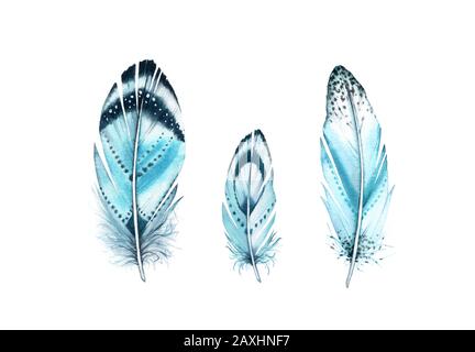 Set piume acquerello. Pittura realistica con ali turchesi vibranti. Illustrazione in stile boho isolata su bianco. Design a volo d'uccello per T-shirt Foto Stock