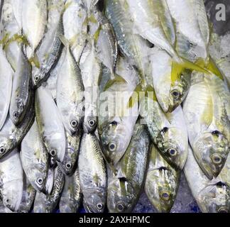 Pesce fresco in un mercato Foto Stock