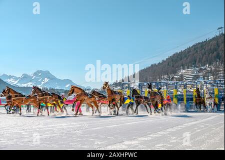 Inizia la scena della gara di Skijöring durante il White Turf 2020 a St.Moritz, in Svizzera Foto Stock