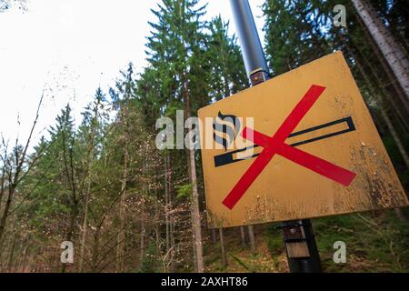 Rathen, Germania. 11th Feb, 2020. Nella fase rocciosa nella località di salute Rathen, un cartello di divieto con il significato di 'fuoco' è attaccato a un palo luminoso sul lato strada. In molti luoghi del Parco Nazionale della Svizzera sassone, gli incendi aperti sono generalmente vietati e puniti con severe sanzioni. Credito: Daniel Schäfer/Dpa-Zentralbild/Dpa/Alamy Live News Foto Stock