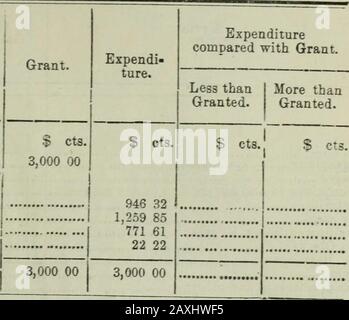 Relazione del Sindaco Generale alla Camera dei Comuni (per l'anno fiscale terminato il 30 giugno 1880) . ANT. Meno thanGranted. 9,123 € cts. Più thanGranted. € Ct3. 1.123 89 certifico che questo conto è stato esaminato sotto le mie indicazioni è corretto. Esaminato, John B. Simpson. J. L. McDougall, Revisore generale A.. Questi avrebbero dovuto essere acquistati attraverso il Public Works Department.b e d.. Queste non sono spese adeguate contro Le Contingenze.c. Cancelleria non acquistata tramite l'Ufficio cancelleria. 47 Conti Di Appropriazione Anno Fiscale Jor Terminato Ooth Giugno 1880 - Continua. Governo Civile - Conti Foto Stock