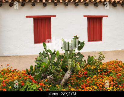 Un cactus e fiori colorati di fronte ad una piccola casa con finestre rosse Foto Stock