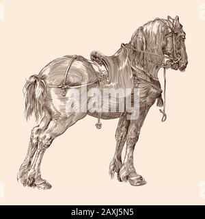 Cavallo con una sella. Illustrazione Vettoriale