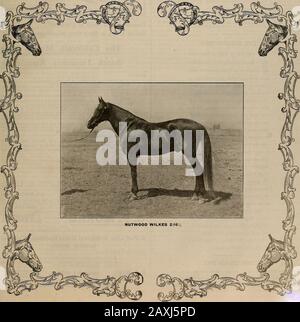 Allevatore e sportivo. VOLUME LIV. Xo. 7. SAX FRAXCI3CO. CAL. SABATO. 13 FEBBRAIO 1909. Abbonamento: 3,00 Usd All'Anno. L'ALLEVATORE E SPORTIVO [sabato 13 febbraio 1909. Il Più Grande Mai Tenuto FRED H. CHASE & CO. Annunciare la Seconda offerta annuale Pleasanton! 3 giorni-25 marzo, 26, 27,1909--3 giorni IL PRIMO GIORNO sarà dedicato ad una dispersione completa dei cavalli della famosa Nutwood Stock Farm, (Estate di Martin carter, Esq., Irvington, Cal.)Sessanta testa dei migliori trottatori e pacer allevati in California, Tra cui il grande sito Nutwood Wilkes 2:16 i guglia di John A. McKerron 2:04M, Copa Foto Stock