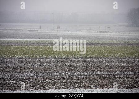 Campi coperti da un sottile strato di neve, atmosfera strugosa, modello di paesaggio invernale agricolo nel sud di Burgenland Foto Stock