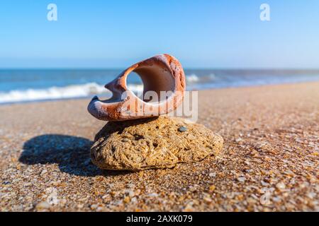 Pietra bizzarra con foro sul mare Foto Stock