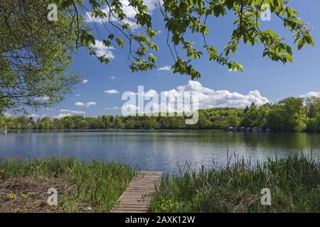 Molo sul lago Weßlinger See, Weßling, Fünfseenland, alta Baviera, Baviera, Germania meridionale, Germania, Europa Foto Stock