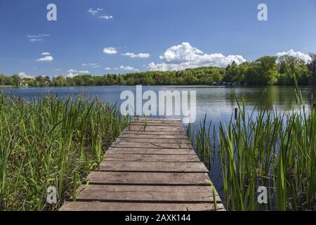 Molo sul lago Weßlinger See, Weßling, Fünfseenland, alta Baviera, Baviera, Germania meridionale, Germania, Europa Foto Stock