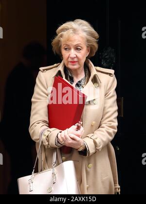 Londra, Regno Unito, 11th Feb 2020, UN po' glum guardando Andrea Leadsom che lascia Downing Street dopo la riunione settimanale del Gabinetto. Foto Stock