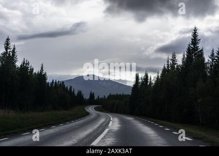 Spettacolare percorso scandinavo settentrionale. Superstrada fredda per il Nord Europa. Natura foresta, montagne vista prospettiva strada. Viaggio scenario. Foto Stock