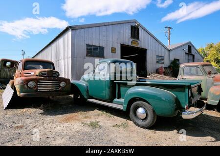 Vecchi pick-up di fronte a un garage, Petaluma, California, Stati Uniti Foto Stock