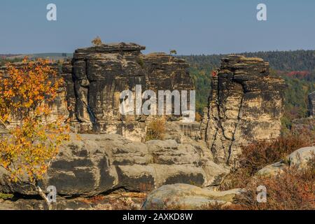 Rocce in autunno sulle montagne di arenaria dell'Elba. Sole e cielo blu con alberi in Svizzera. Arrampicata in autunno umore e foreste Foto Stock