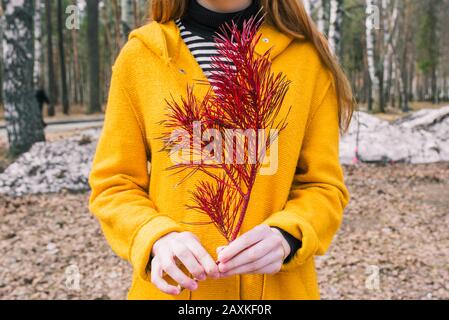 Una giovane ragazza in un cappotto arancione tiene un ramo di abete rosso nelle sue mani. Il concetto di restauro e protezione delle foreste, ecologia. Foto Stock