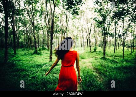 Vista posteriore della giovane donna che indossa un abito rosso che corre in una foresta. Foto Stock