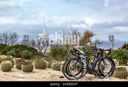 Barcellona, Spagna - 27 marzo 2016: Immagine di tre biciclette da strada professionali nei pressi di cactus , in cima a Montjuic in Bracelona Spagna, il 27 marzo 20 Foto Stock