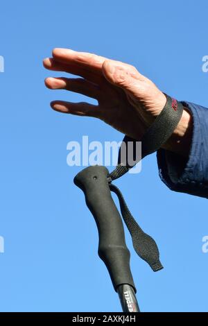 Cinturino da polso su palo da trekking. Passare la mano attraverso il loop dal basso e tirare l'estremità posteriore per regolarla. Uso corretto. Foto Stock