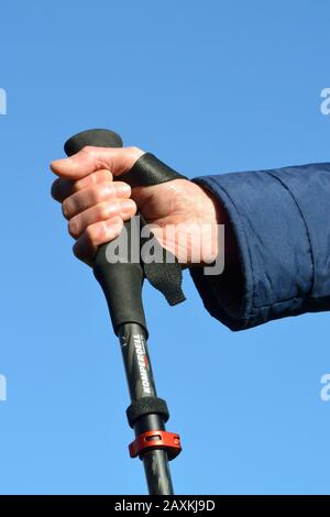 Cinturino da polso su palo da trekking. Passare la mano attraverso il loop dal basso e tirare l'estremità posteriore per regolarla. Uso corretto. Foto Stock