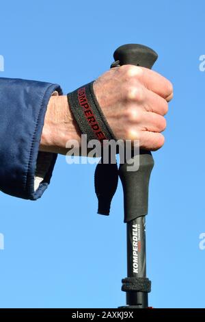Cinturino da polso su palo da trekking. Passare la mano attraverso il loop dal basso e tirare l'estremità posteriore per regolarla. Uso corretto. Foto Stock