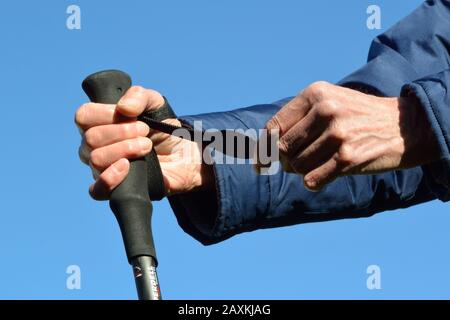 Cinturino da polso su palo da trekking. Passare la mano attraverso il loop dal basso e tirare l'estremità posteriore per regolarla. Uso corretto. Foto Stock