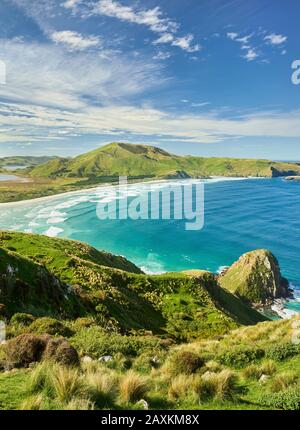 Spiaggia Di Allans Da Sandymount Recreation Reserve, Otago, South Island, Nuova Zelanda, Oceania Foto Stock