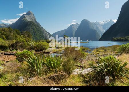 Miter Peak, Milford Sound, Southland, South Island, Nuova Zelanda, Oceania Foto Stock