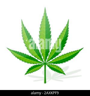 Icona piatta foglia di canapa di cannabis Illustrazione Vettoriale
