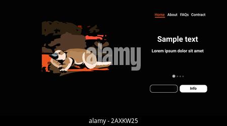 platypus che corre da incendi boschivi in australia animali che muoiono in fiamme selvatici bushfire naturale disastro concetto intenso arancione fiamme orizzontale copia spazio immagine vettoriale Illustrazione Vettoriale