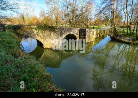 DORDOGNE, PERIGORD POURPRE, EYMET, VEDUTA AEREA DEL PONTE MEDIEVALE DI BRETOU SUL DROPT Foto Stock