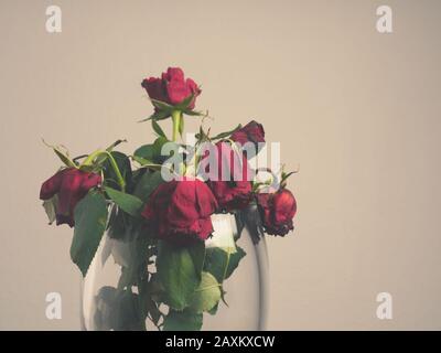 Bouquet di rose rosse in vaso di vetro con spazio per il testo Foto Stock
