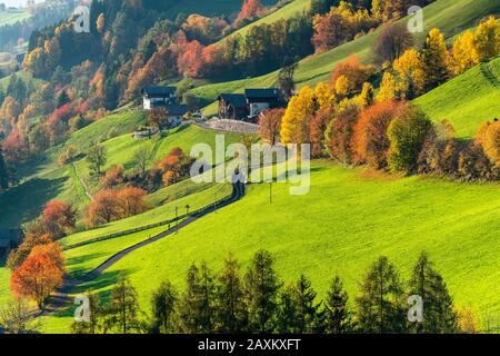 Colorati alberi autunnali nel paesaggio alpino della Val di Funes, Dolomiti, provincia di Bolzano, Alto Adige, Italia Foto Stock