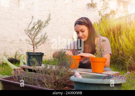 Donna ispanica che prepara la terra a seminare in pentola piccola Foto Stock