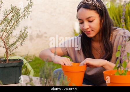 Donna ispanica che prepara la terra a seminare in pentola piccola Foto Stock