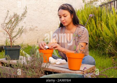 Giovane donna che prepara la terra con gusci d'uovo Foto Stock