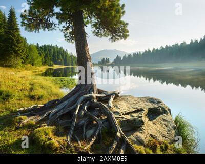 Schwarzsee, Turracher Höhe, Stiria, Austria Foto Stock