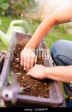 donna che lavora nel suo giardino domestico con le mani piene di suolo. Foto Stock