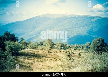 Prato con alberi e pinnacle senza alberi di montagna, filtro Foto Stock