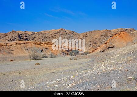 Paesaggio desertico nel letto del fiume Kuiseb con ripide scogliere di banca, alberi di sabbia e sparse alberi, Namib-Naukluft Park, Namibia Foto Stock