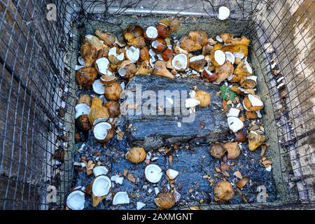 Roccia dove i pellegrini schiantano le noci di cocco al santuario indù Maha Devale a Kataragama, Sri Lanka. Foto Stock