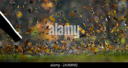 Il ventilatore di fogliame soffia fogliame di autunno Foto Stock