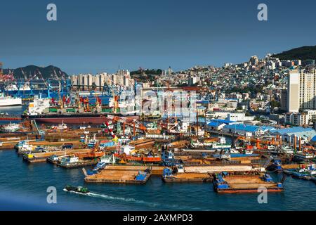 Corea del Sud, regione Yeongnam, Busan, porto di Busan con vista del rimorchiatore posti barca presso Yeongdo isola. Foto Stock