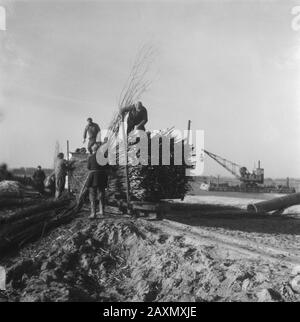 Collezione / Archivio: Photo Collection Anefo Report / Series: Walcheren Data: 28 Febbraio 1946 Località: Walcheren Zelanda Parole Chiave: Lavoro, Terra Foto Stock