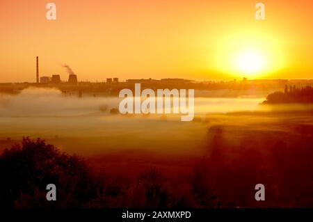 Pianta all'alba, al tramonto il tramonto, il sole che sorge, con la nebbia mattutina e silhouette nere Foto Stock