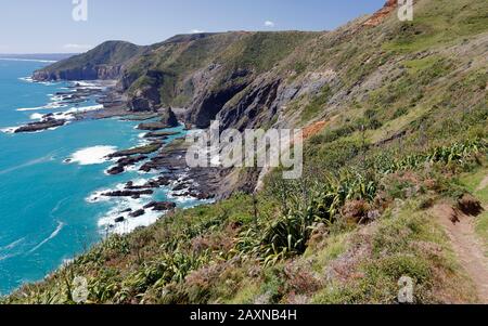 Splendida vista panoramica sulla selvaggia costa occidentale di Auckland dalla passeggiata a te Henga, un sentiero per passeggiate e passeggiate da punto a punto tra Bethells e Muriwai Foto Stock