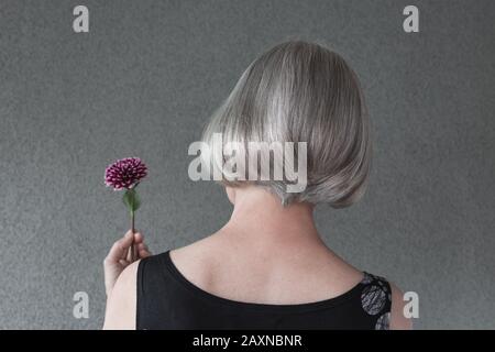 Elegante signora dai capelli grigi con fiore rosso dahlia, su sfondo grigio. Foto Stock