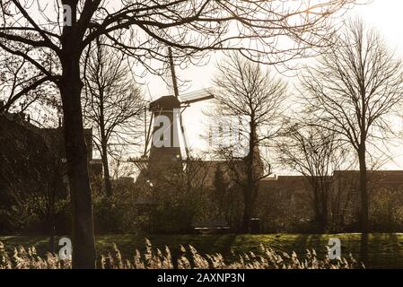 Mulino a vento a Zierikzee, Paesi Bassi Foto Stock