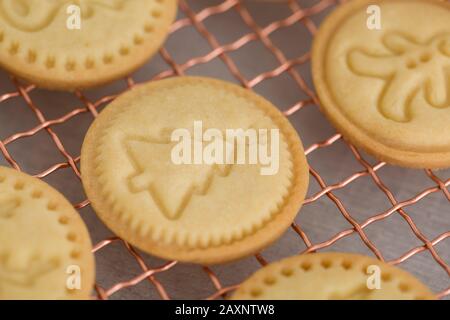 Biscotti di Natale, griglia di raffreddamento, uomo di pan di zenzero, renne, albero di Natale Foto Stock