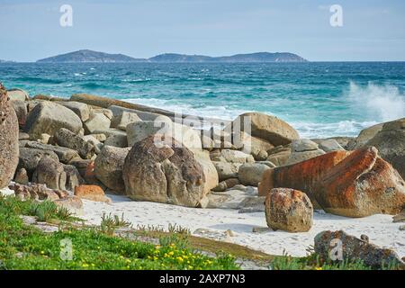 Paesaggio, Spiaggia Di Squeaky, Wilsons Promontory National Park, Victoria, Australia, Oceania Foto Stock