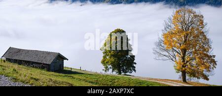 Soleggiata idilliaca scena alpina autunnale. Tranquilla notte nebbia Alpi montagna e sole grandi alberi vista dal sentiero escursionistico da Dorfgastein a Paarseen laghi, Foto Stock